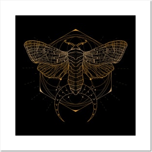 Satin Moth | Crescent Moon Posters and Art